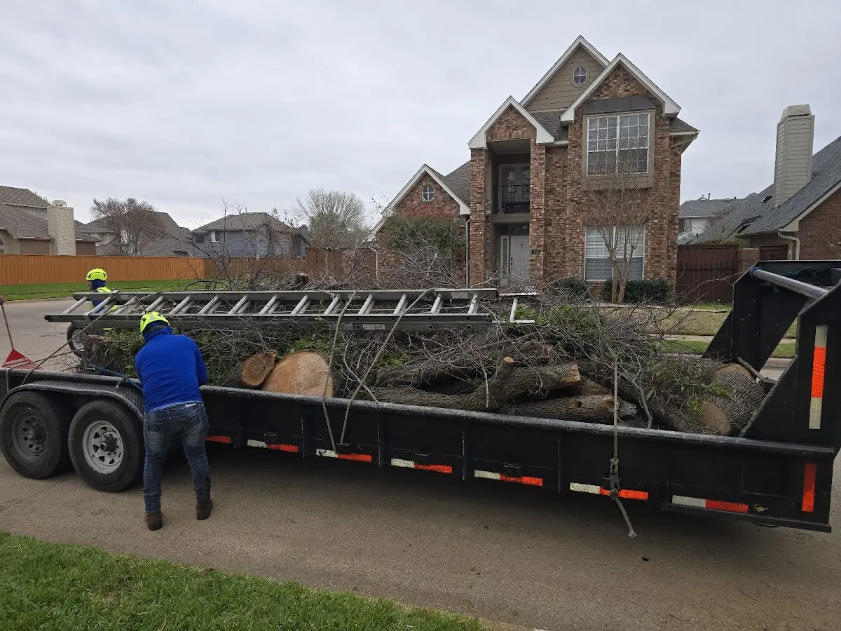 Expert Tree Fertilization with proper safety equipment in Republic